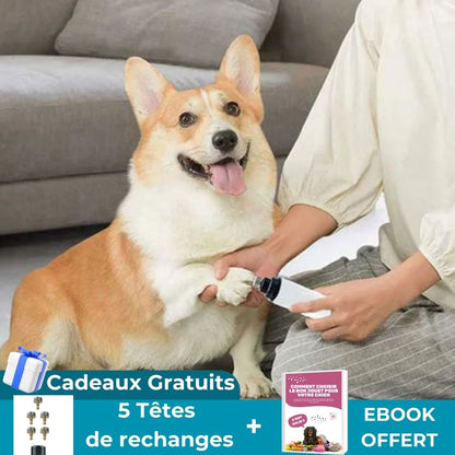 PawsSmooth Pro™ | Coupe ongles électrique pour chien