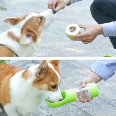 Gourde pour chien | Bottle&Bowl™