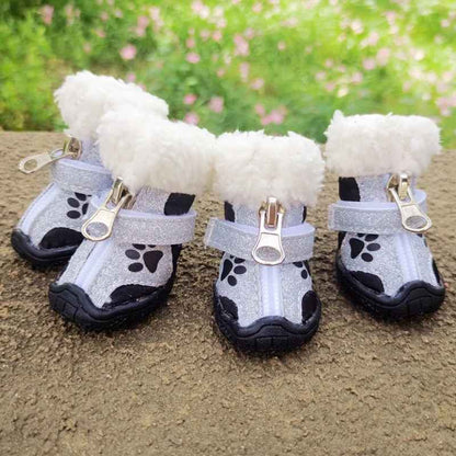 Chaussure Chien | PattesSèches™