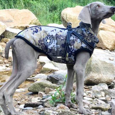 DoggyCoat™ | Veste avec harnais pour chien