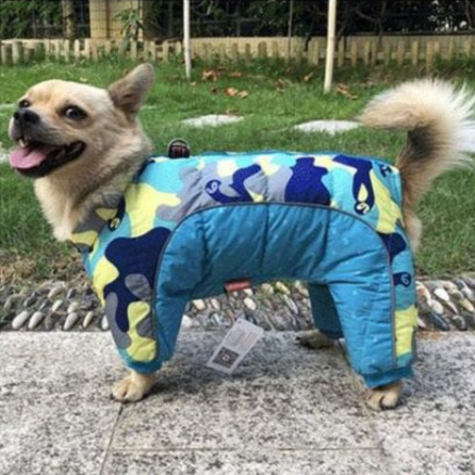 Chien manteau - DogHiver™