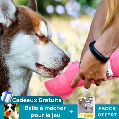 GOURDE POUR CHIEN | MultaskBowl™