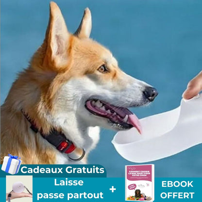 GOURDE POUR CHIEN 2 en 1| PetBowl™