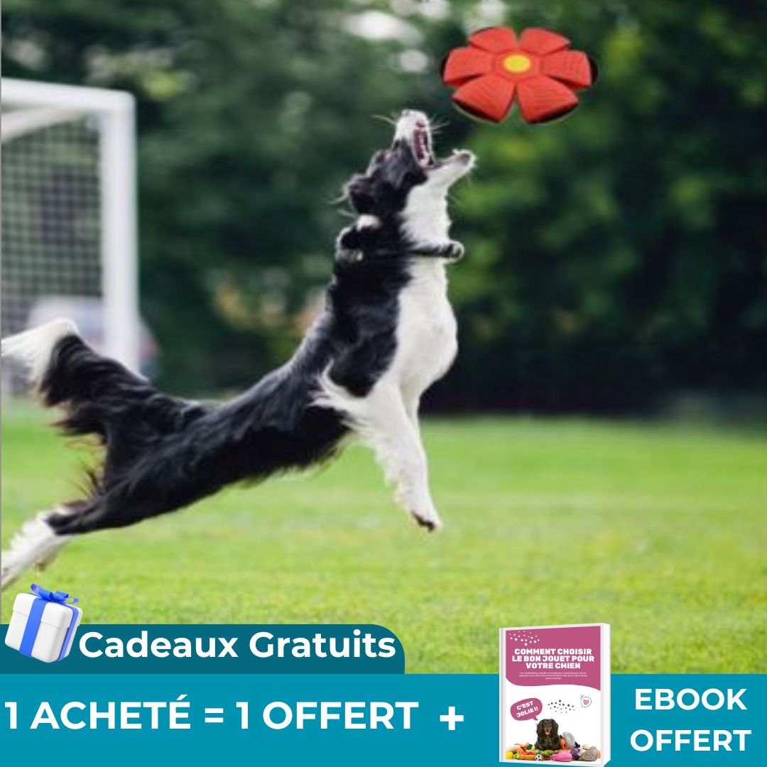 FlyBall™ |Jouet interactif stimulant