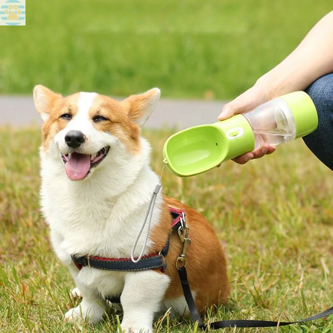 HappydogsBottle&Bowl™ - Gourde pour chien