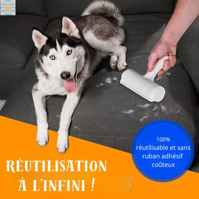 Cleanoutou™ - Rouleau anti-poils chien – Pitou Poil
