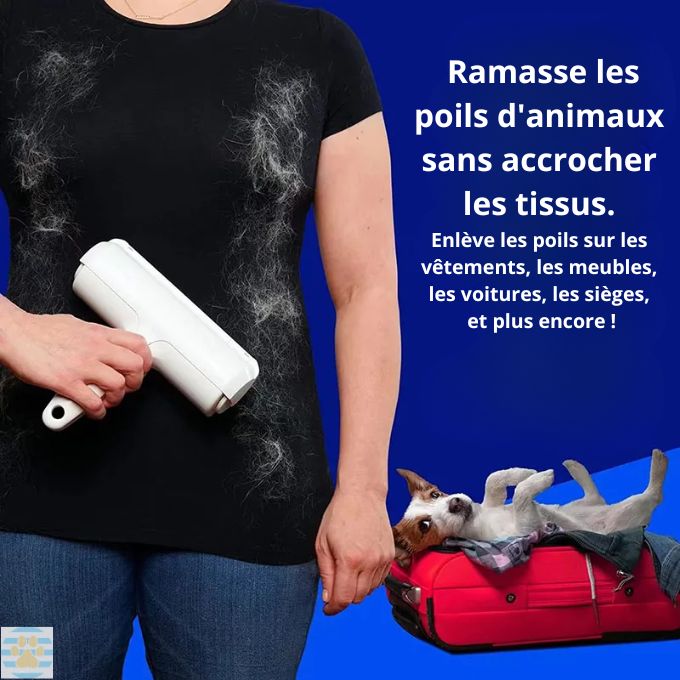 Cleanoutou™ - Rouleau anti-poils chien – Pitou Poil