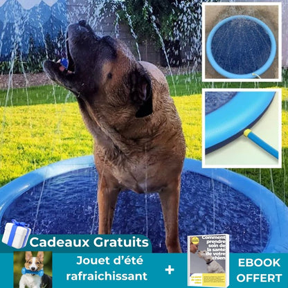 FunyPool™ | Piscine de Rafraîchissement et amusement