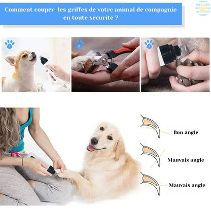 PawsSmooth Pro™ | Coupe ongles électrique pour chien