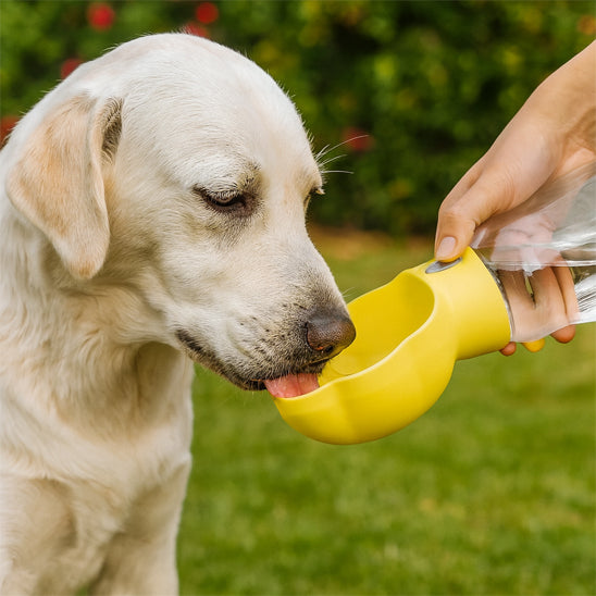 Chien buvant dans une gourde pour chien jaune 