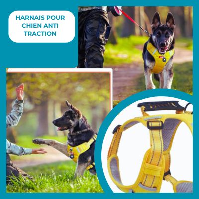 HarnSafe™ | Harnais anti-traction