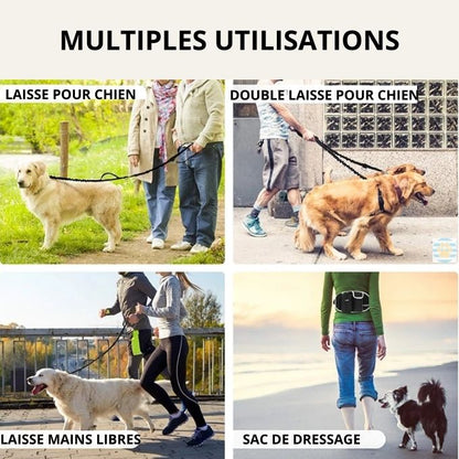 laisse-chien-polyvalente