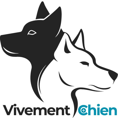 Vivement Chien