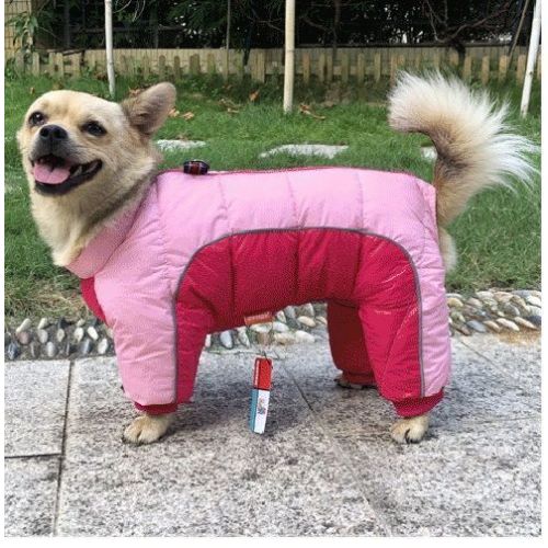 Chien manteau - DogHiver™