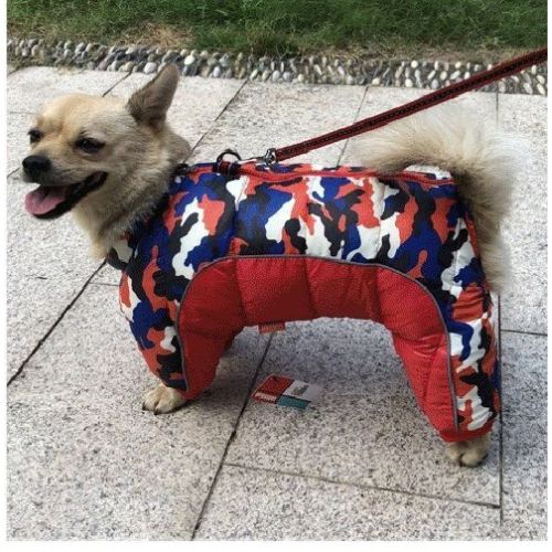 Chien manteau - DogHiver™