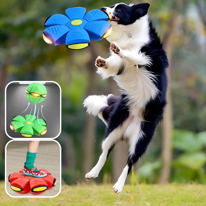 FlyBall™ |Jouet interactif stimulant