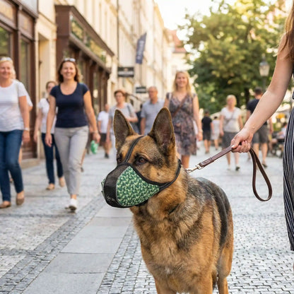 Muselière chien anti morsure vert ave berger allemend en ville