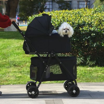 Poussettes pour chiens bleu dans la rue