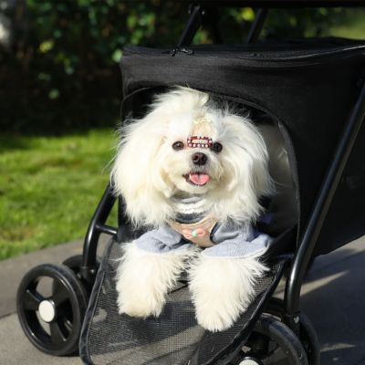 Poussettes pour chiens noir au parc
