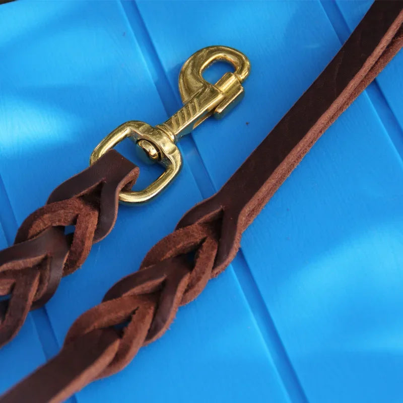 Laisse pour chien | En Cuir