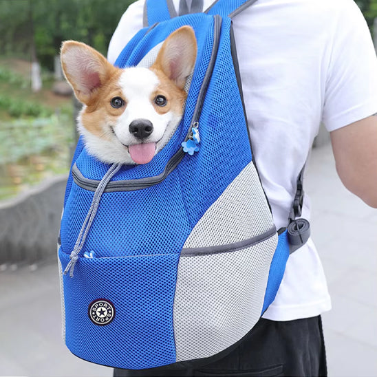 Homme avec sac de transport pour chien bleu sur son dos le chien très content et sans stress