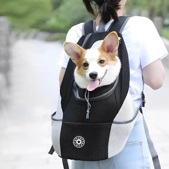 Femme avec sac de transport pour chien noir sur son dos le chien confortable