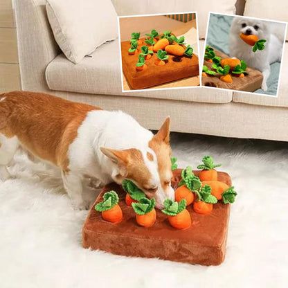SniffCarottMat™ | Tapis renifleur pour chien