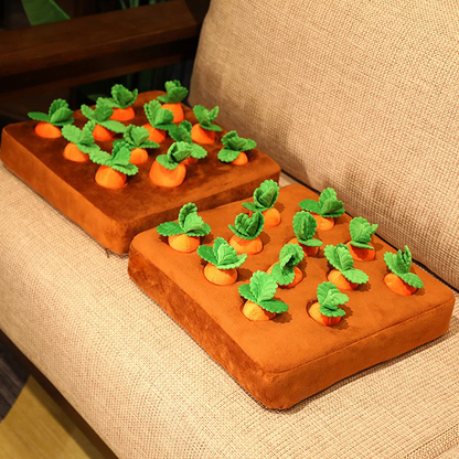Tapis-renifleur-carottes-sur-fauteuille