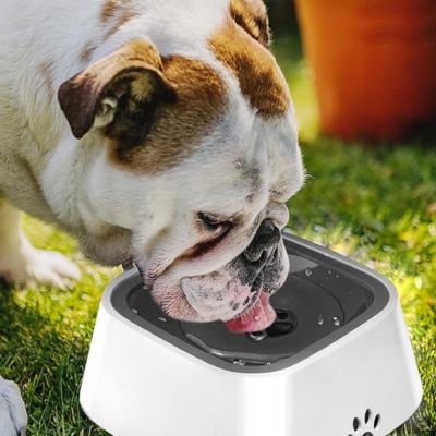 Chien qui boit dans un bol pour chien gris