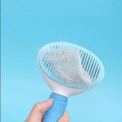 brosse-pour-chien-bleu-azur