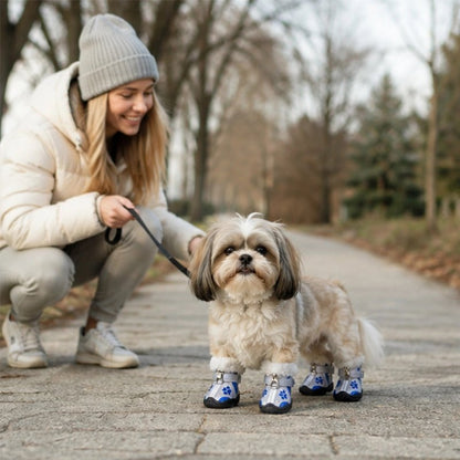 Chaussure Chien bleu en balade 