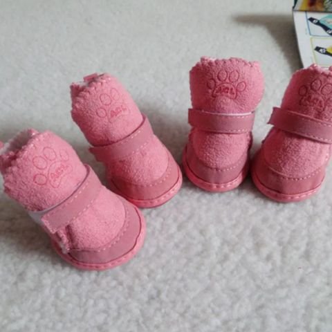 Chaussure pour Chien rose