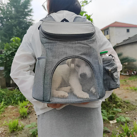 Chien dans un sac de transport gris sur le dos de son maître