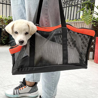 Chien dans un sac de transport tenu par son maître