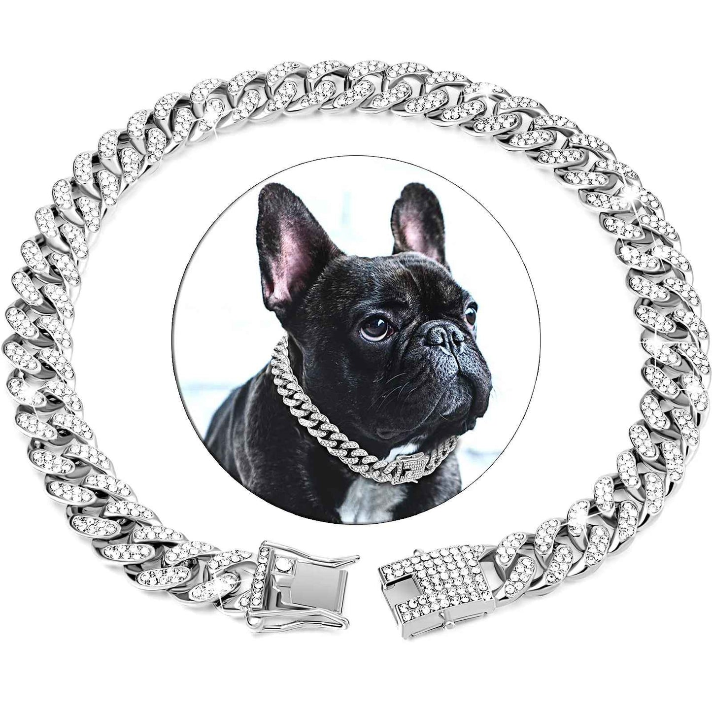 Portrait de chien avec collier en argent