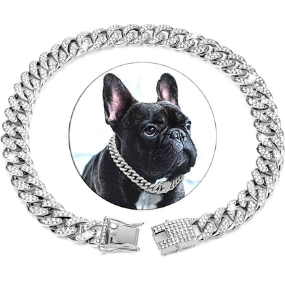 Portrait de chien avec collier en argent