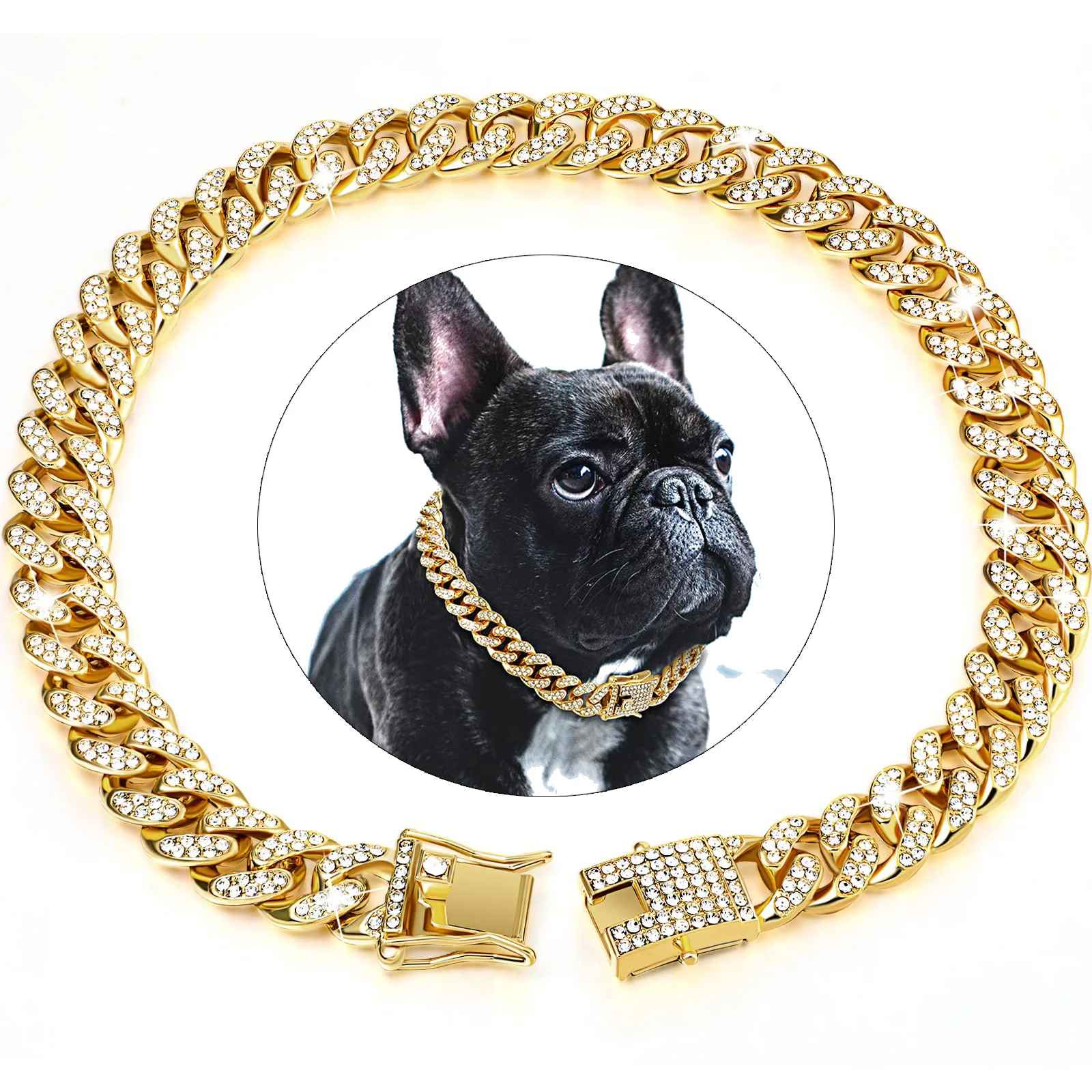 Portrait de chien avec collier en or
