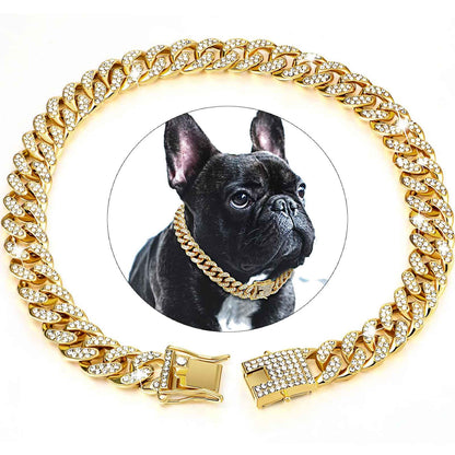 Portrait de chien avec collier en or