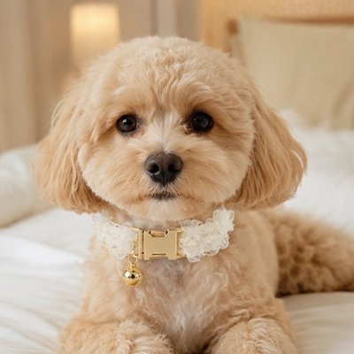 Collier Chien blanc avec caniche