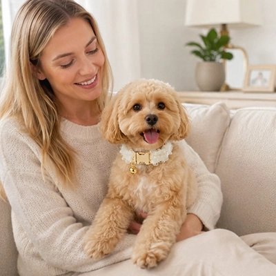 Collier Chien blanc sur fauteuil