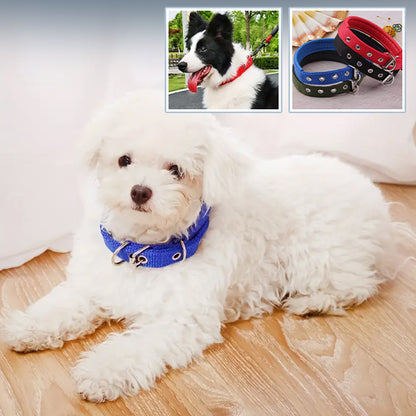 collier-chien-confortable