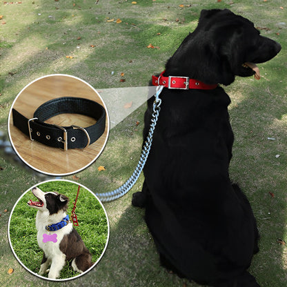 collier-chien-extérieur