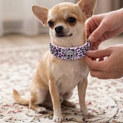 Collier Chien rose