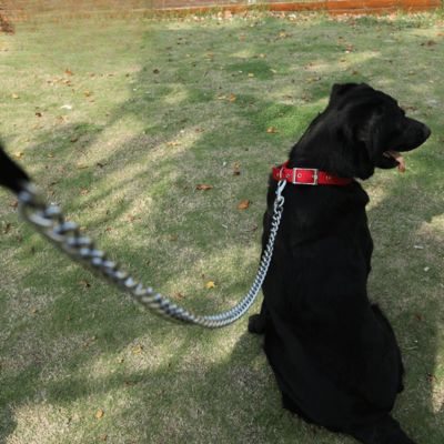 collier-chien-rouge