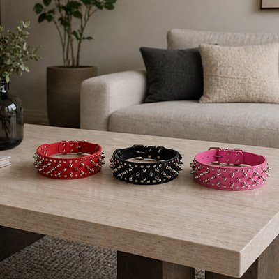 Collier Chien sur la table