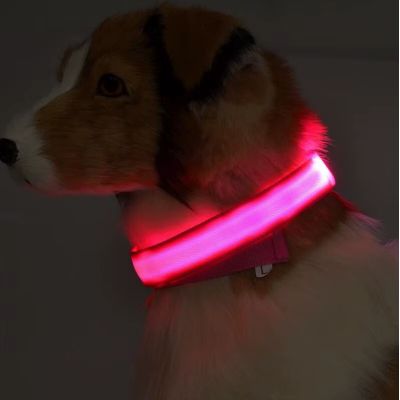 collier lumineux pour chien rouge la nuit