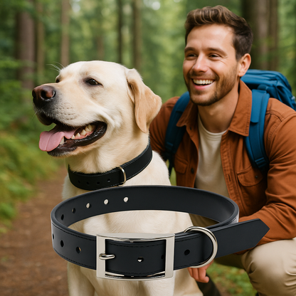 collier-pour-chien-noir
