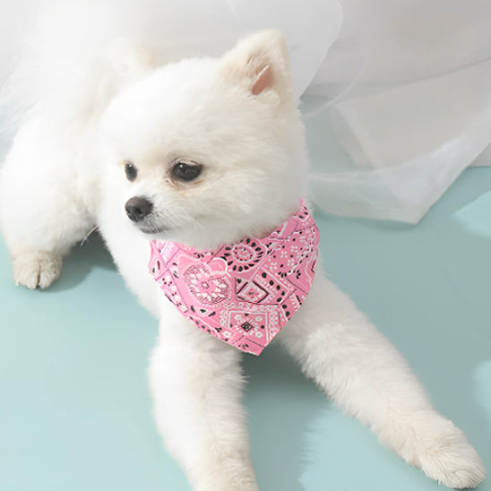 Chien allongé sur un tapis vêtu de bandana rose