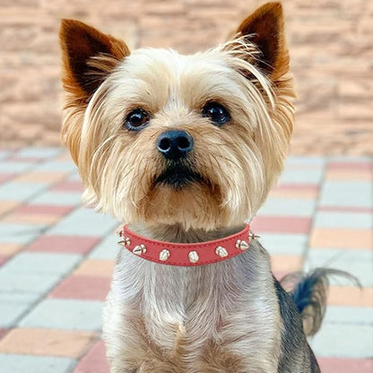 collier-pour-chien-rouge