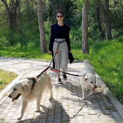 Femme en balade avec ses deux chiens attachés à une double laisse rose dans un parc 